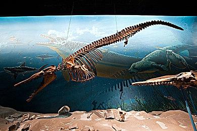 《博德之门3》开发人员为《星空》开发团队辩护